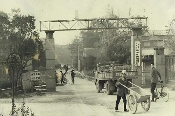 Date Founded in 1973